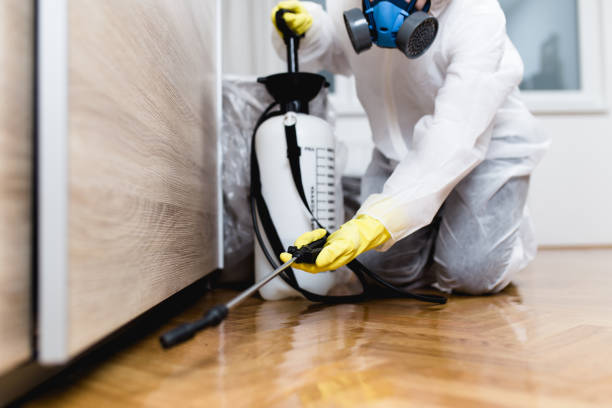 Best Rat Extermination Near Me  in Wlow Springs, IL
