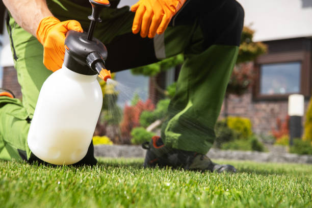 Best Best Pest Control Companies  in Wlow Springs, IL