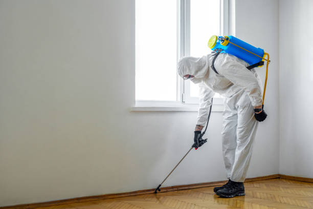 Best Affordable Pest Control Services  in Wlow Springs, IL