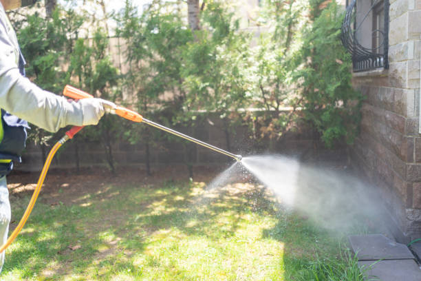 Best Local Pest Control Services  in Wlow Springs, IL