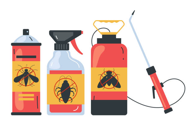 Best Termite Control Services  in Wlow Springs, IL