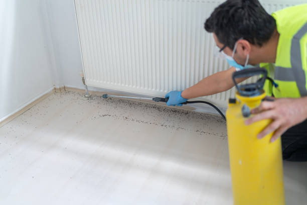Best Pest Removal Services  in Wlow Springs, IL