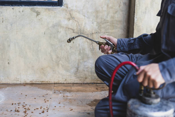 Best Best Pest Control Companies  in Wlow Springs, IL